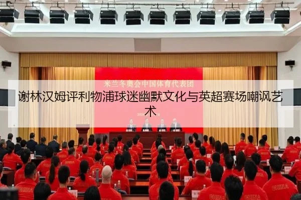 谢林汉姆评利物浦球迷幽默文化与英超赛场嘲讽艺术
